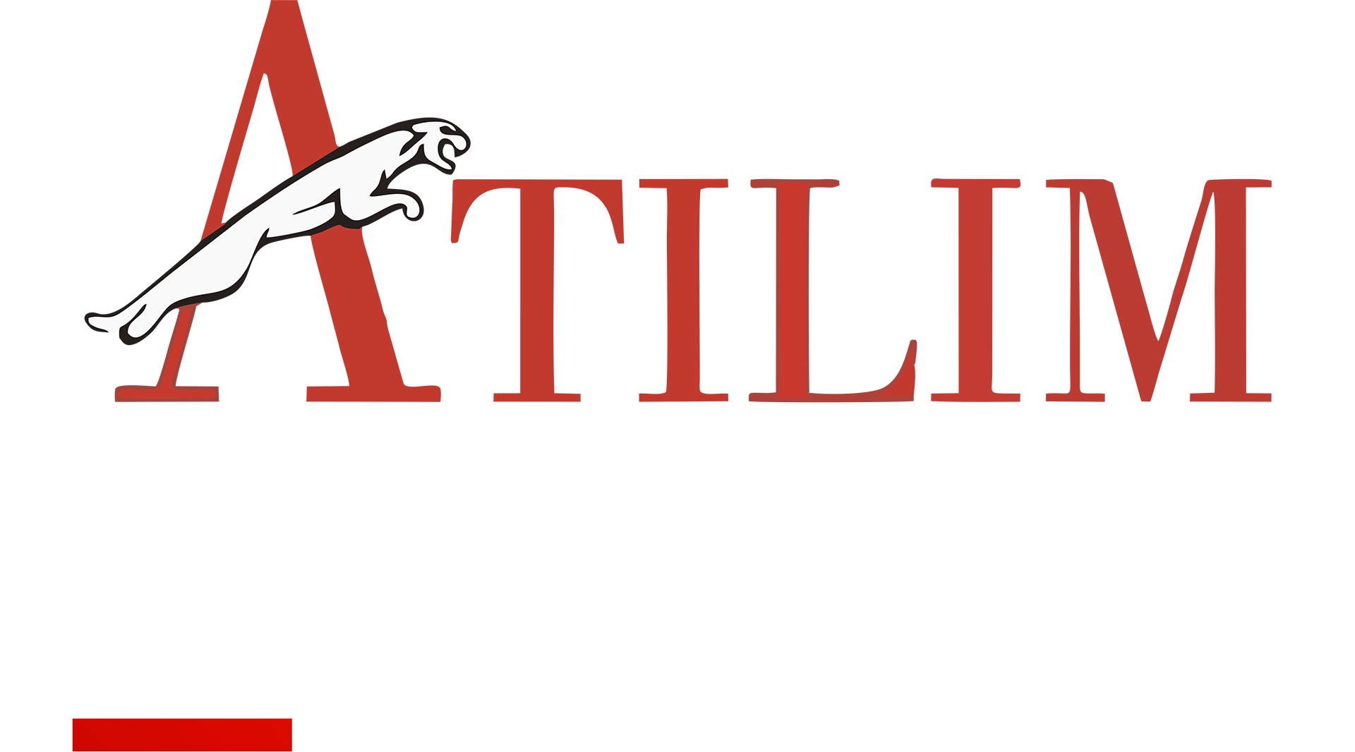 LOGO_beyaz